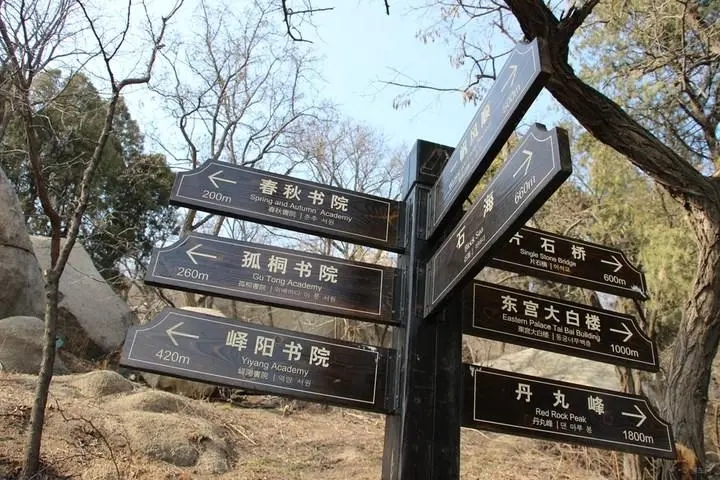 成都廣告樱桃视频高清免费观看在线播放下载標識牌廣告製造的材料